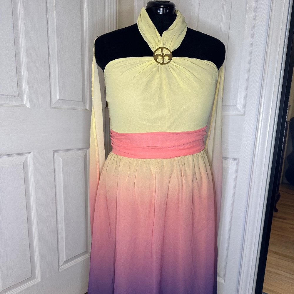 Her Universe Padme Ombre Dress